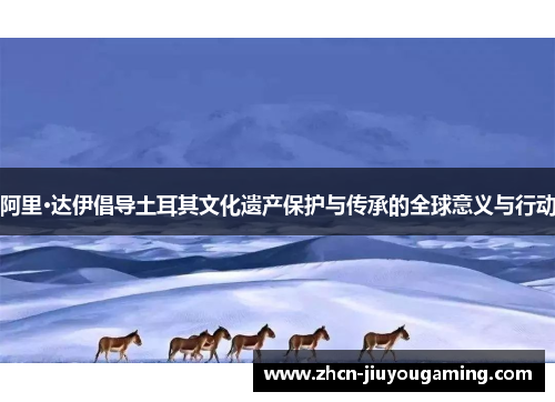 阿里·达伊倡导土耳其文化遗产保护与传承的全球意义与行动